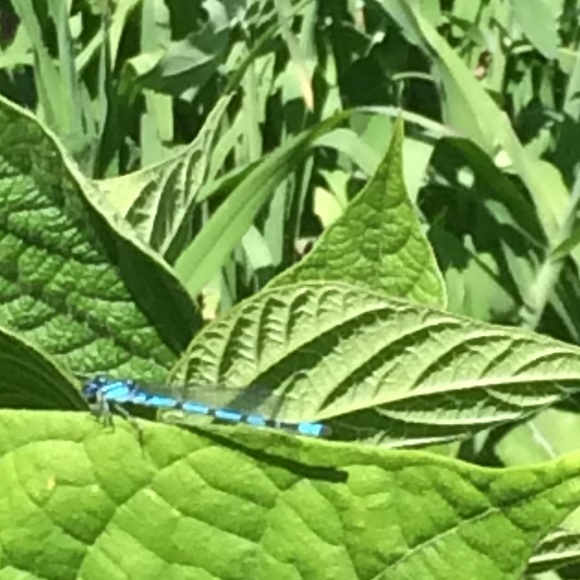 Follow Game, Like, Follow, Share, Repeat" - Picture 4 of 8